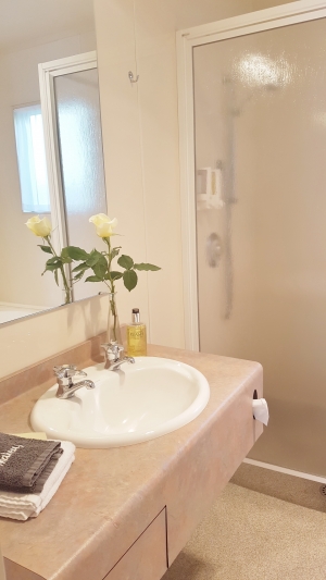 Braemar Motor Lodge - Business