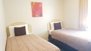 Braemar Motor Lodge - Business