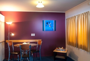 Braemar Motor Lodge - Business